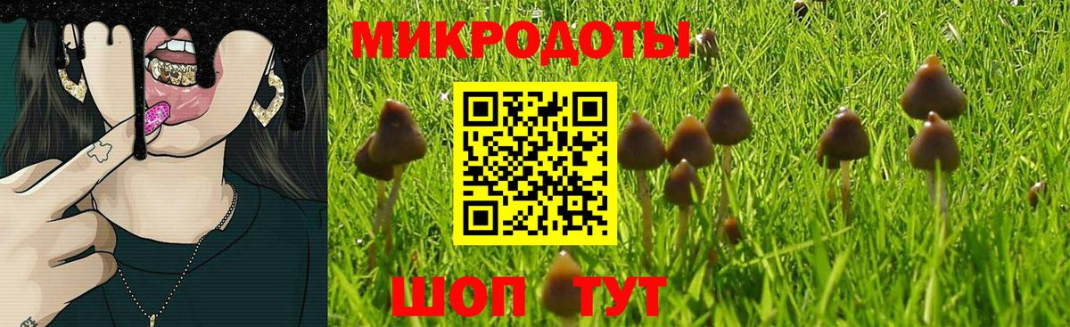 Псилоцибиновые грибы Psilocybine cubensis  Вход с VPN  Печора 