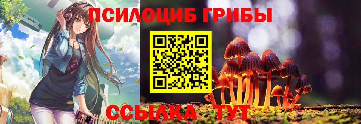 Псилоцибиновые грибы ЛСД Печора